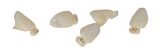 Picture of Polycarbonate Crowns 5/pk  - MARK3
