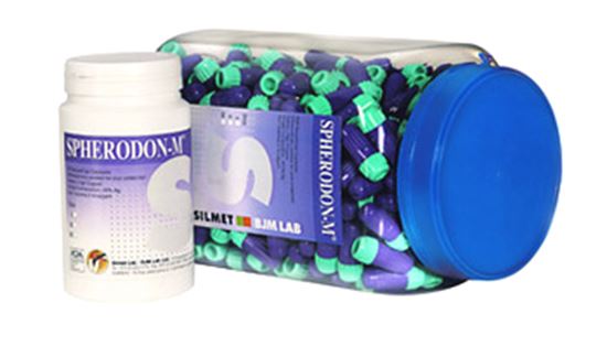 Picture of Spherodon M Amalgam alloy 500/pk - Silmet