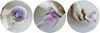 Picture of Kromopan Alginate Dustless Fast Set 1-lb Bag - Lascod