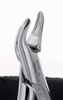 Picture of Extracting Forceps Adult - Premier Dental