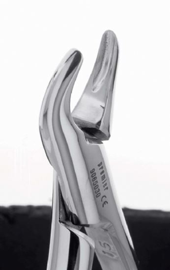 Picture of Extracting Forceps Adult - Premier Dental