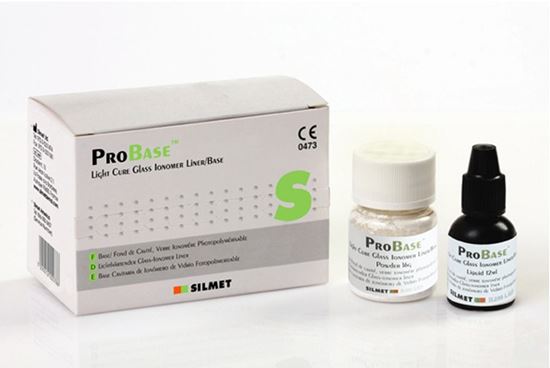 Picture of ProBase Liner/Base - Silmet