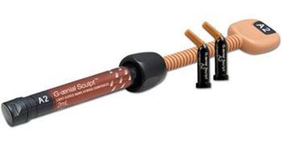 Picture of G-aenial Sculpt Syringe - GC America