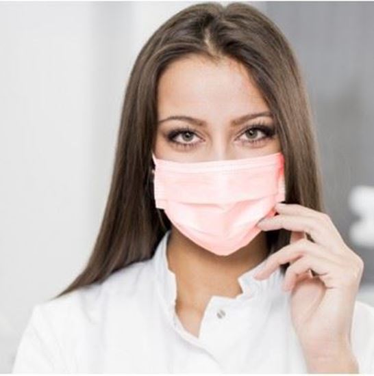 Picture of Level 2 Earloop Face Masks -  House Brand